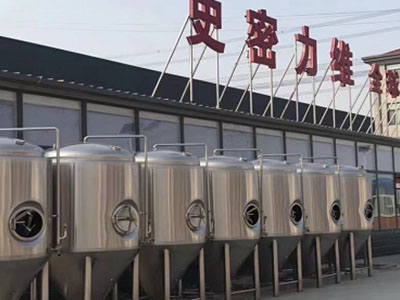 芜湖精酿啤酒设备厂—市场规模与跨界新需求